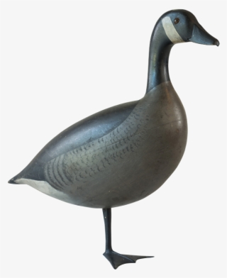 One Legged Canada Goose Decoy By Charles Schoenheider - 1 Legged Bird Png #5907605