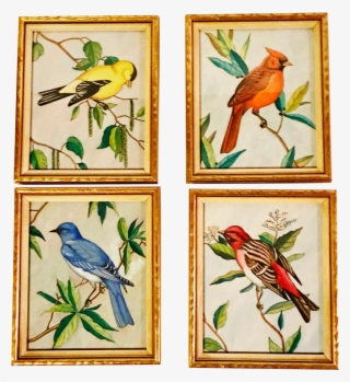 Vintage Original Paintings Of Birds In Gold Frames - Jay #5909278