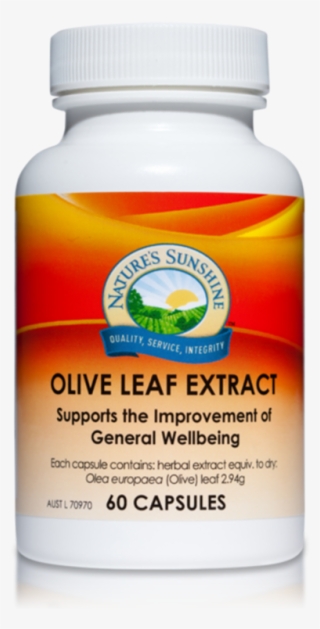Nature's Sunshine Olive Leaf Extract 60c - Gotu Kola Natures Sunshine #5909762