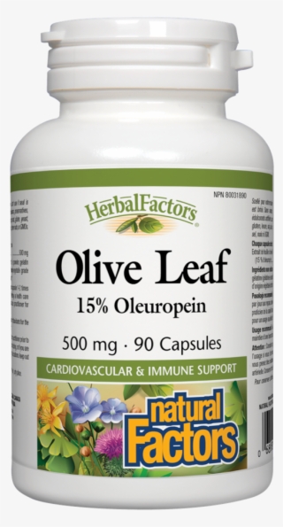 Natural Factors Herbal Factors Olive Leaf 90caps - Natural Factors Ginkgo Biloba #5910002