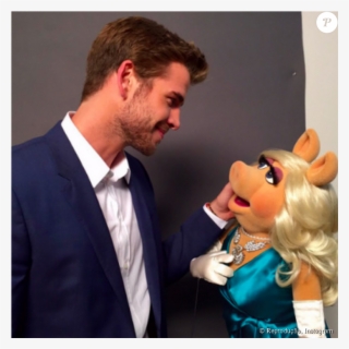 Liam Hemsworth Só Criou Sua Conta No Instagram Em Agosto - Miss Piggy Liam Hemsworth #5910684