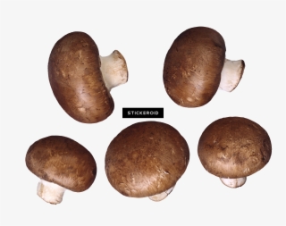 Mushroom #5912663 Mushroom #5912663