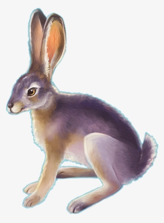 Jackrabbit By Teacup Elbows - Conejo Del Desierto Dibujo #5914875