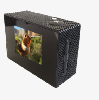 Bird Photo Booth - Computer Case #5917589