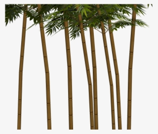 Bamboo Plant Wellness Digital Art #5918563