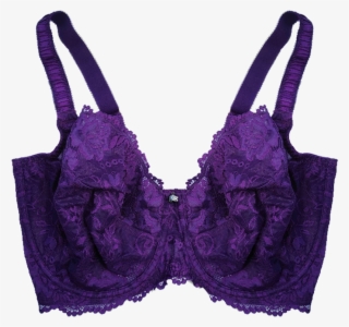 Enhanced Support Serena Lace Bra Crown Jewel Brad04 - Lace #5919680