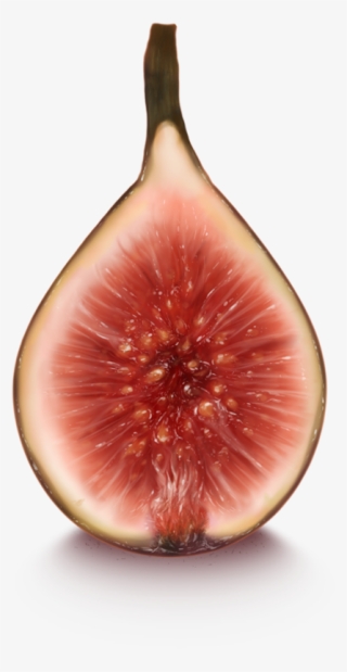 Half Figured - Half-figured #5919683