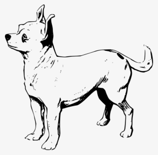 Aardvark Free Chihuahua - Black And White Chihuahua Clip Art #5920690