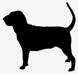 Bloodhound Drawing Easy - Bloodhound Silhouette - Free Transparent PNG ...