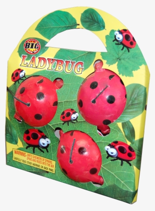 Ladybird Beetle #5921105