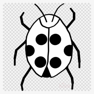 Download Of Bug Black And White Clipart Beetle Clip - Bug Black And White Clipart #5921159