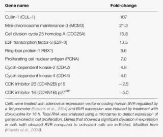 Cell Proliferation Genes Activated By Over-expressed - Frame 2 #5921301