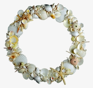 Cadres Frame Rahmen Quadro Png Border Pinterest - Shell Frames Png #5922857