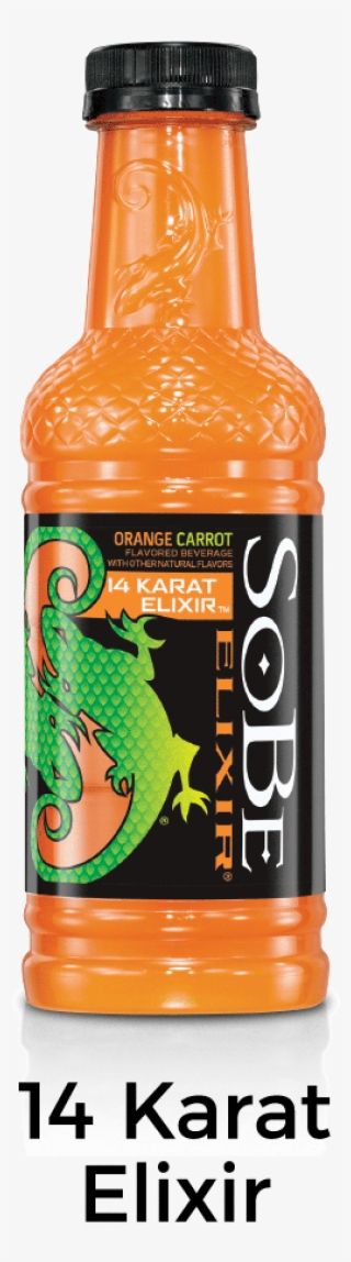 Sobe Elixir Green Tea - 20 Fl Oz Bottle #5925057