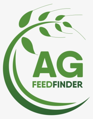 Alfalfa Hay - Hay #5925371