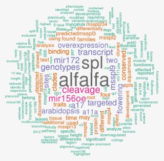 Stem Loop Sequence Mtr Mir156i #5926438