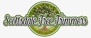 Saguaro Cactus Removal - Graphic Design #5927284