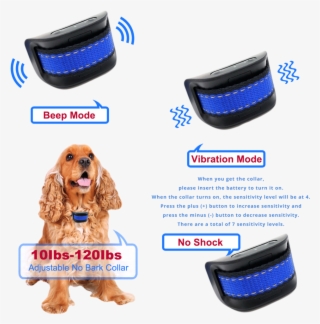 Double Tap To Zoom - Dog #5927386