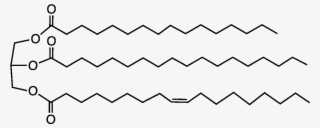 File - Cocoabuttriglyc - Shea Butter Chemical Structure #5928792