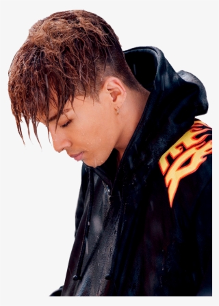 Report Abuse - Taeyang Let's Not Fall In Love #5929680