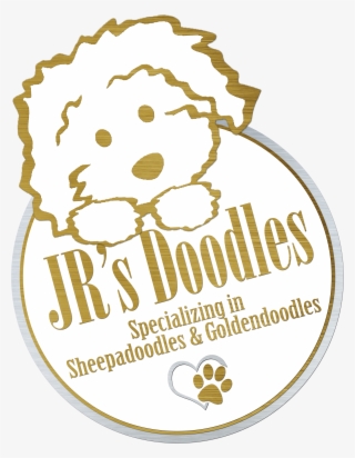 Jr's Doodles - Doodle #5929872