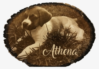 Photo Engraved Wood Tree Slice - Engraving #5930571