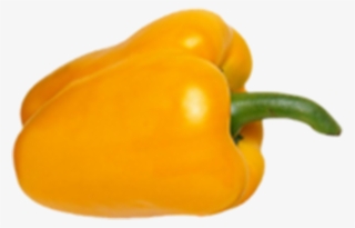 Bell Pepper Yellow Outer Png Free Stock - Yellow Habanero Peppers Png #5931625