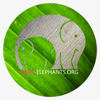 Biking In Northern Congo - Emblem #5933168