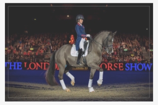 We Wish A Happy Retirement To This Horse In A Million - Charlotte Dujardin Flying Changes Coats #5933991