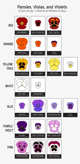 Pansies Png #5934996