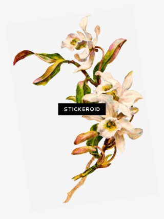 Flowers Bouquet #5936038