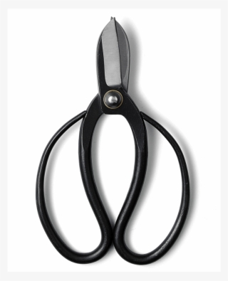Banshu Hamono, Koryū Flower Scissors, #5938363