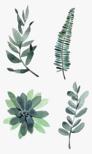 Watercolor Leaves Png Photos #5938680