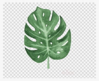 Transparent Watercolor Leaf Png #5939027