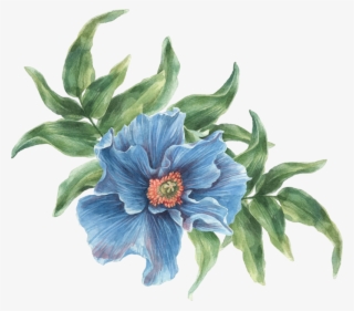 Фото, Автор ✿lili@ ✿ На Яндекс - Colorful Flowers Collage Watercolors Oval Ornament #5939118