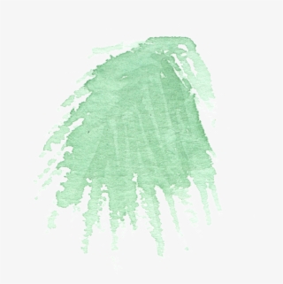 Hand Painted Simple Coniferous Leaves Watercolor Transparent - Watercolor Painting #5939285