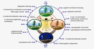 Technological Aryans - Circadian Rhythm #5940648
