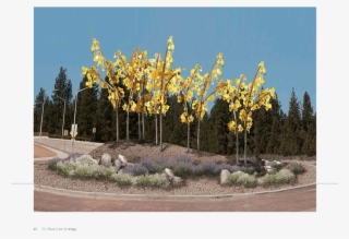 Pdf Creator - Public Art In Sisters Oregon #5941131