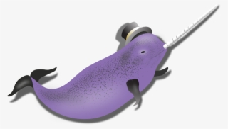 The Narwhal App Dives Deep Into Trading Data For You, - Slug #5943003