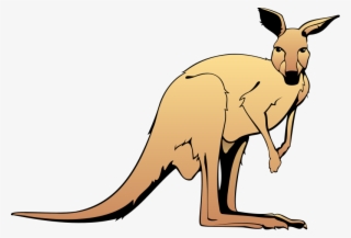 Kangaroo Animal Clipart Free Images - Kangaroo Clipart #5944562
