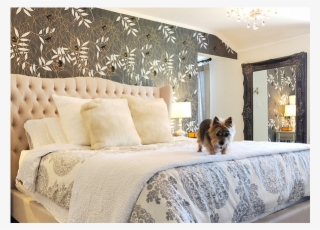 Monkeys At Midnight Monkeys, Spider, Rompers, Spiders, - Spider Monkey #5944973