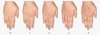 How Do You Rate Your Hands - Hands Filler #5947645