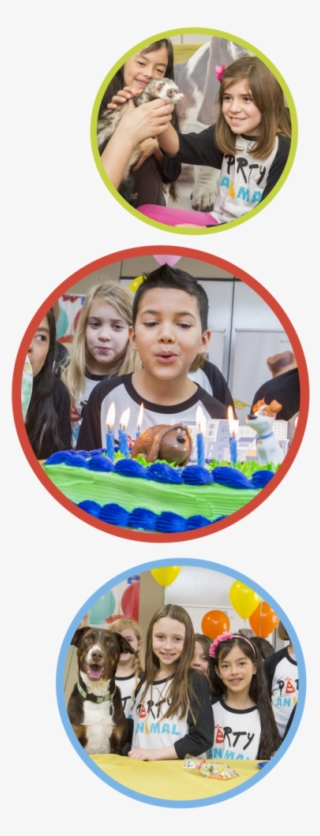 This Year, Host A Party Your Guests Will Howl For - Birthday Party #5948007
