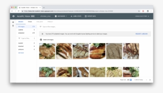 I Dragged And Dropped All 279 Images Into Automl And #5950234