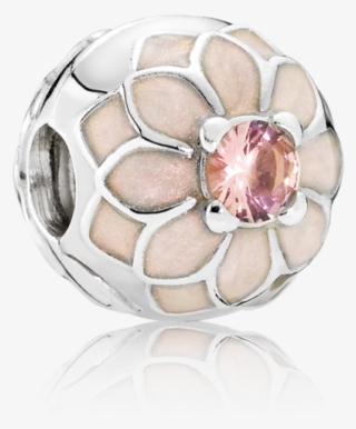 Pandora Blooming Dahlia Cream - Pandora 791828nbp Blooming Dahlia Clip #5954253