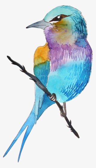 Birds, Birds, Drawing, Png, Color - Dessin De Oiseau En Couleur #5957282