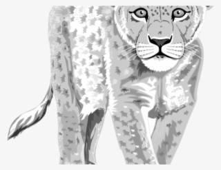 Leopard Clipart Clip Art - Leopard Got His Spots Worksheet #5957873