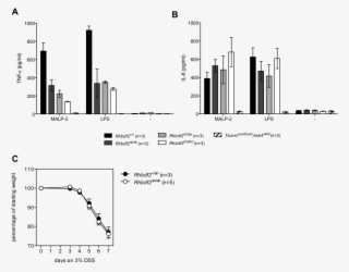 Mutant Alleles Of Rhbdf2 Are Non Complementary, And - Diagram #5957933