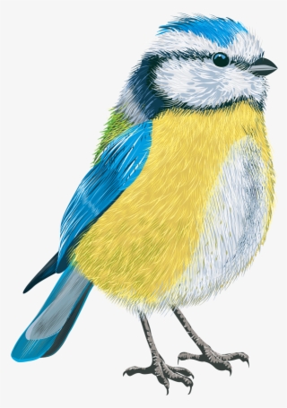 Фото, Автор Soloveika На Яндекс - Tit Vector #5957994