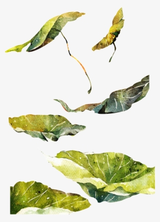Hand Painted Piece Of Lotus Leaf Transparent - Leaf #5960735